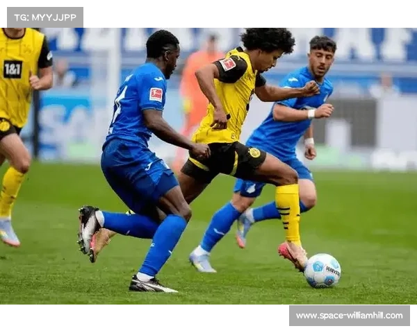 霍芬海姆3-1柏林联合,主场全取三分逃离降级区